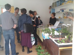 2mai_permaculture