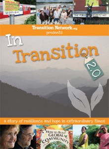 in-transition2.0
