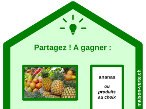 concours ananas